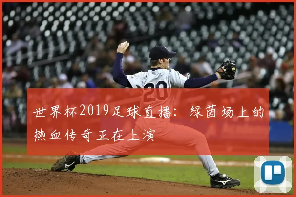 世界杯2019足球直播:绿茵场上的热血传奇正在上演
