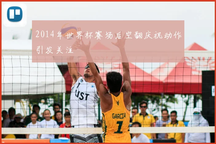 2014年世界杯赛场后空翻庆祝动作引发关注