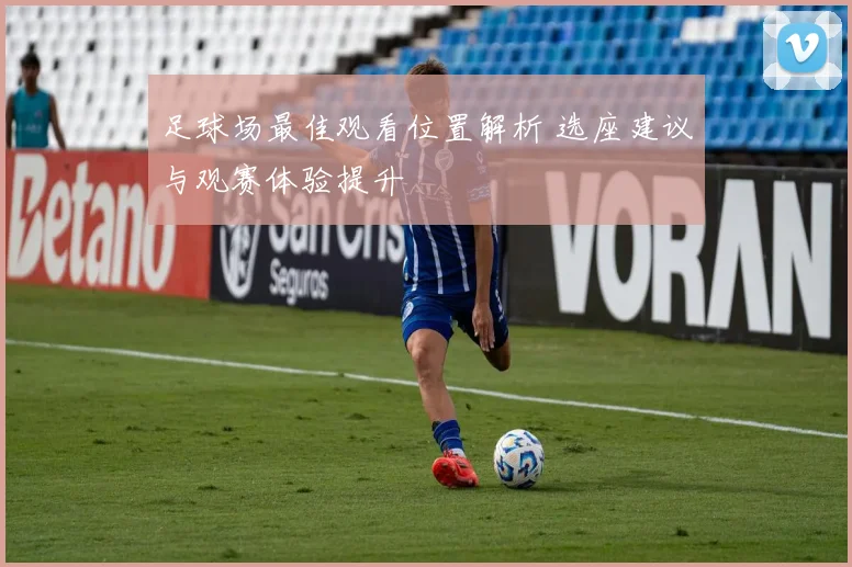 足球场最佳观看位置解析 选座建议与观赛体验提升