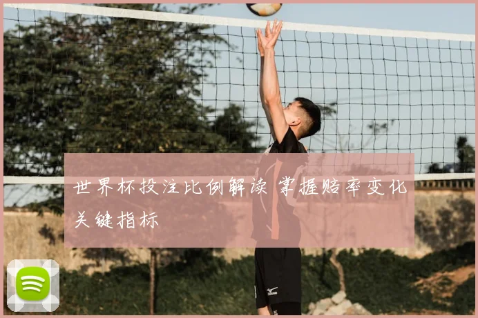 世界杯投注比例解读 掌握赔率变化关键指标